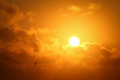 Flying Close to the Sun (And Not Melting… Yet)