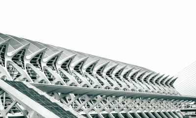 The Job I Fell in Love With